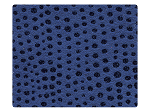 155 Illusion Dark Blue Velvet -Stiletto